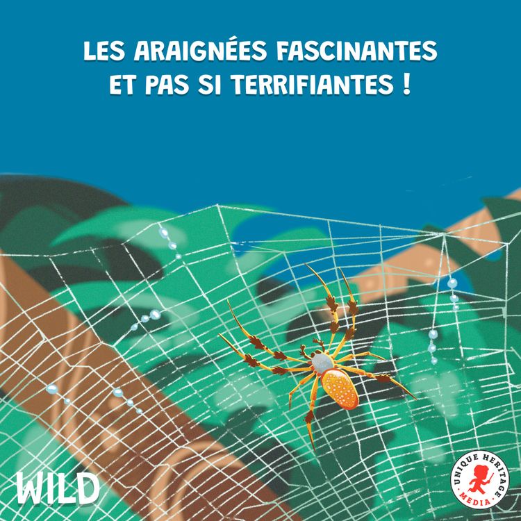 cover art for Les araignées fascinantes et pas si terrifiantes, épisode 2