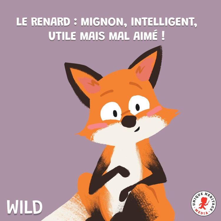 cover art for Le renard : mignon, intelligent, utile mais mal aimé !