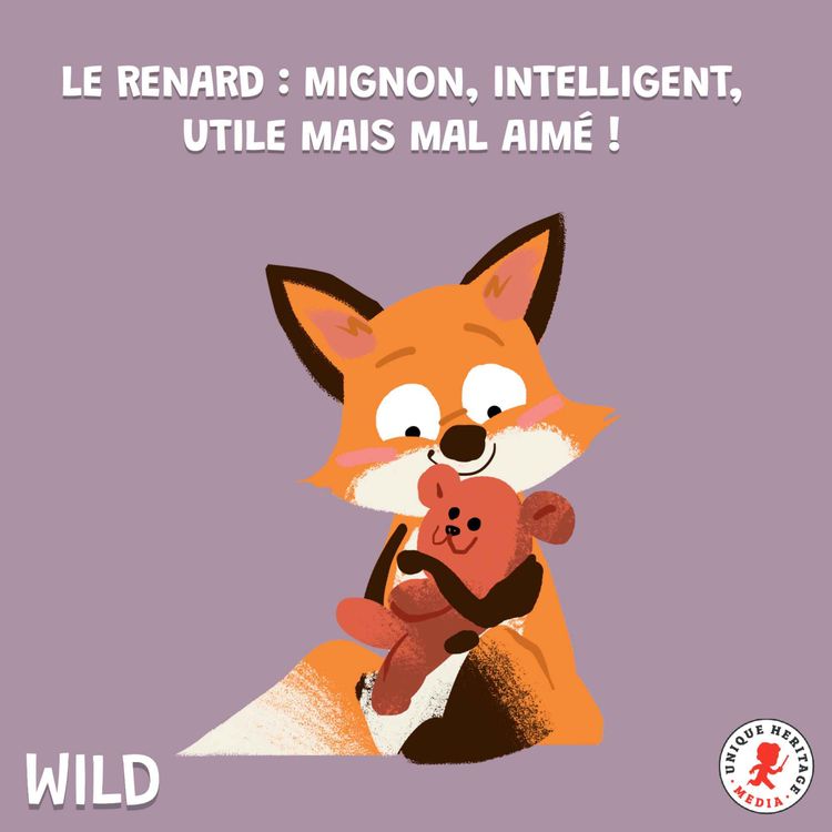 cover art for Le renard : mignon, intelligent, utile mais mal aimé ! (2/2)