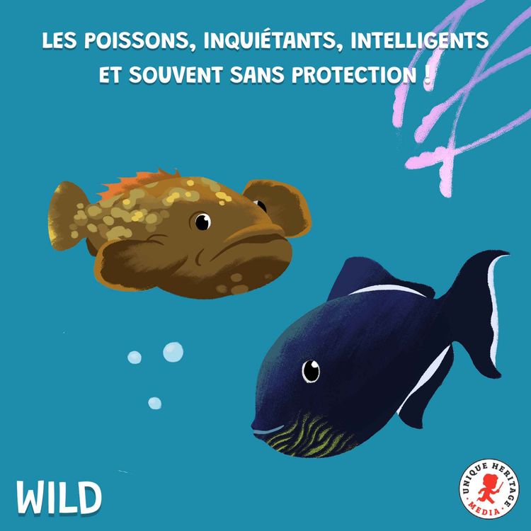 cover art for Les poissons : inquiétants, intelligents et souvent sans protection !