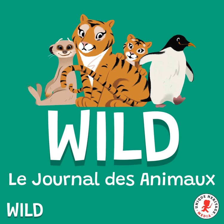 cover art for L’incroyable souris aux oreilles jaunes