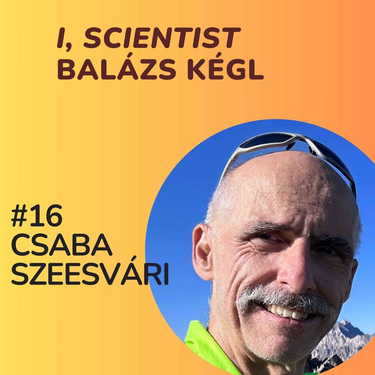 cover art for Csaba Szepesvari