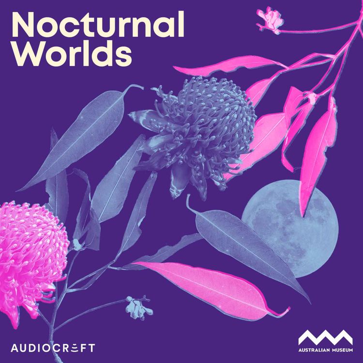 cover art for Welcome to Nocturnal Worlds