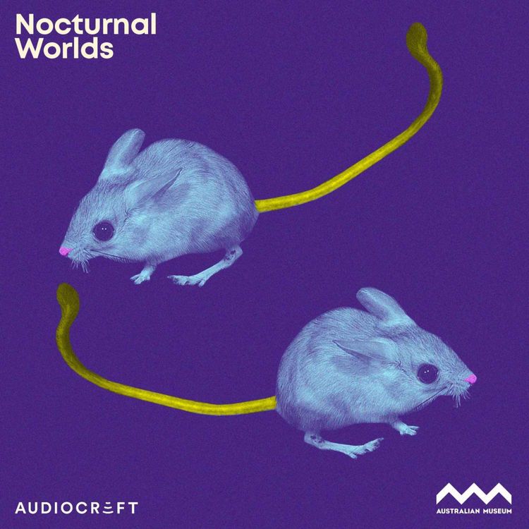 cover art for Soundscape - Spinifex Hopping Mouse