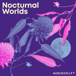cover art for Nocturnal Worlds