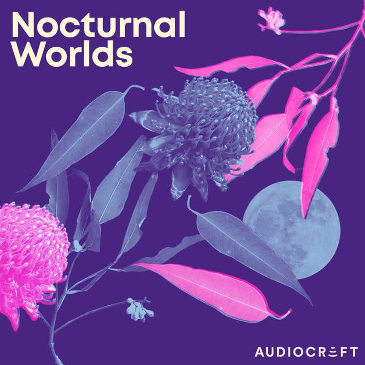 cover art for Welcome to Nocturnal Worlds