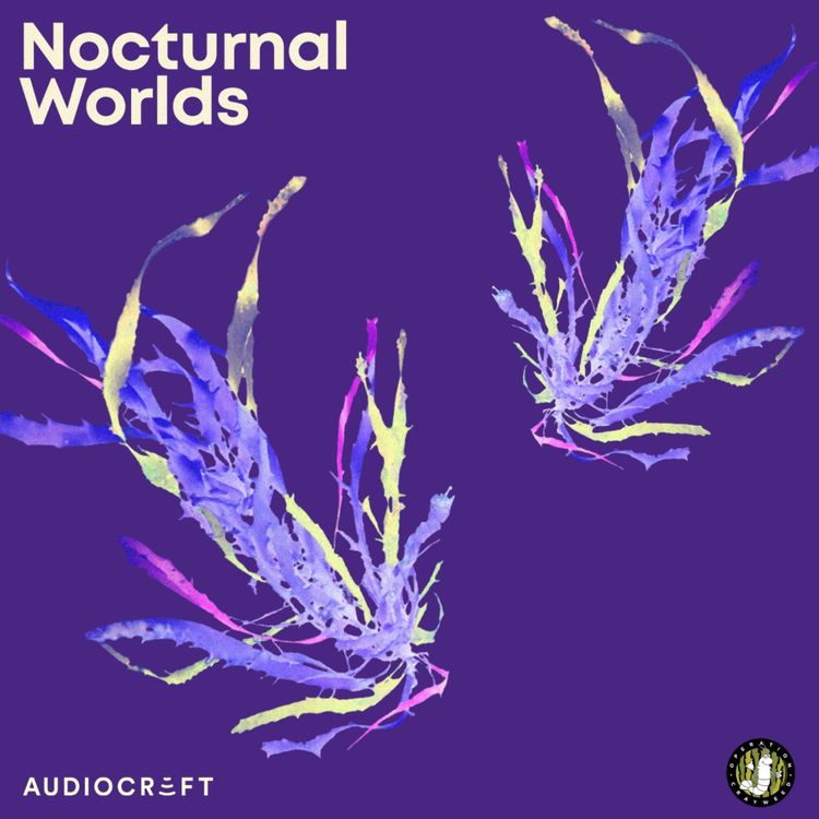 cover art for Crayweed