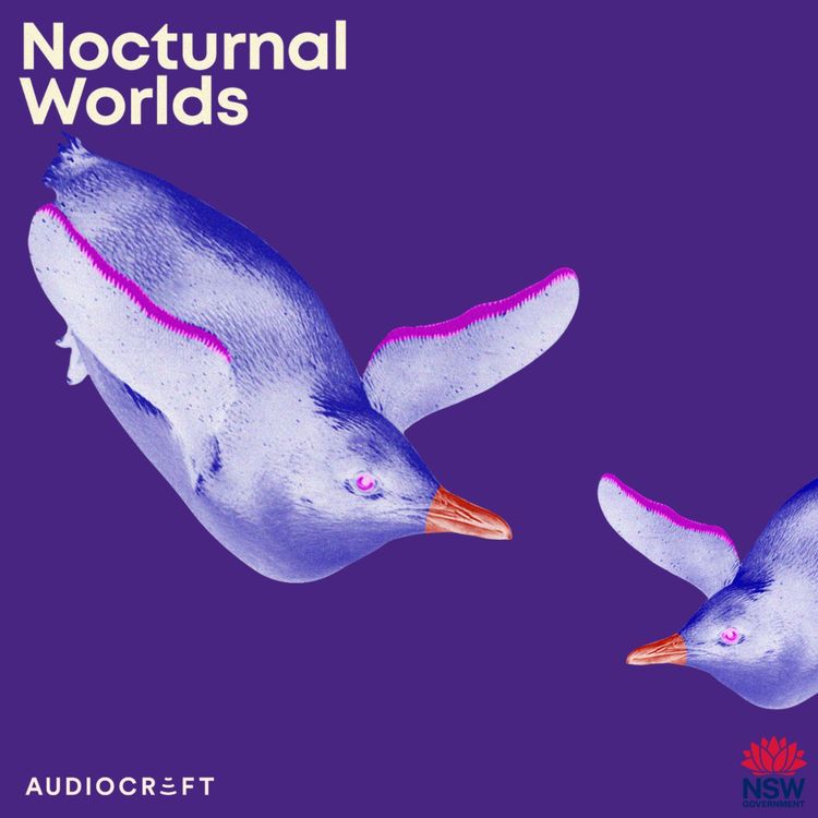 cover art for Little Penguin