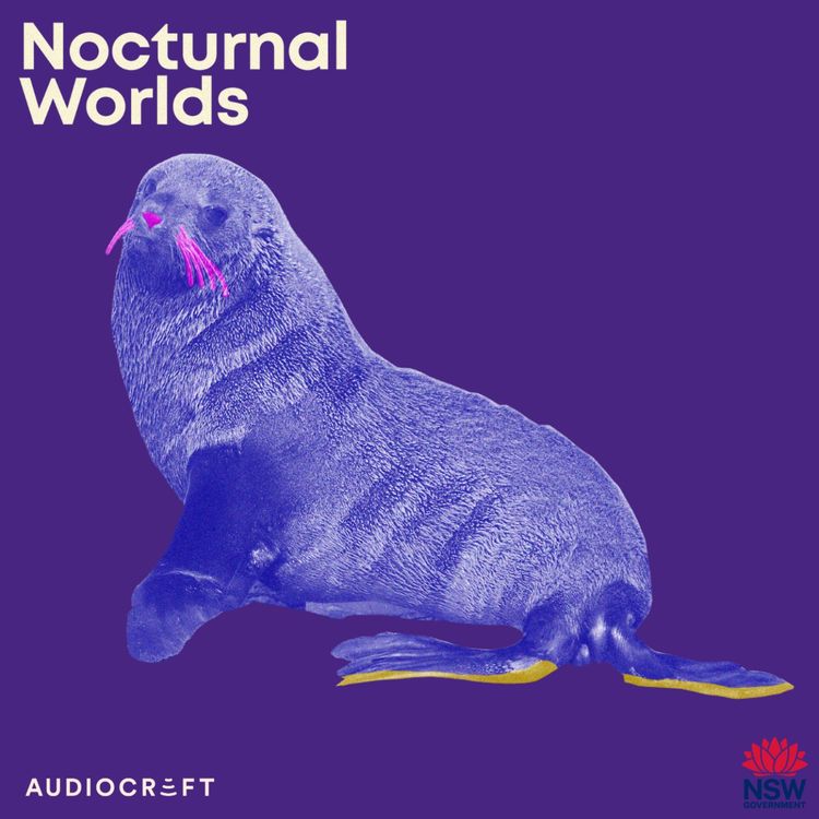 cover art for New Zealand Fur Seal
