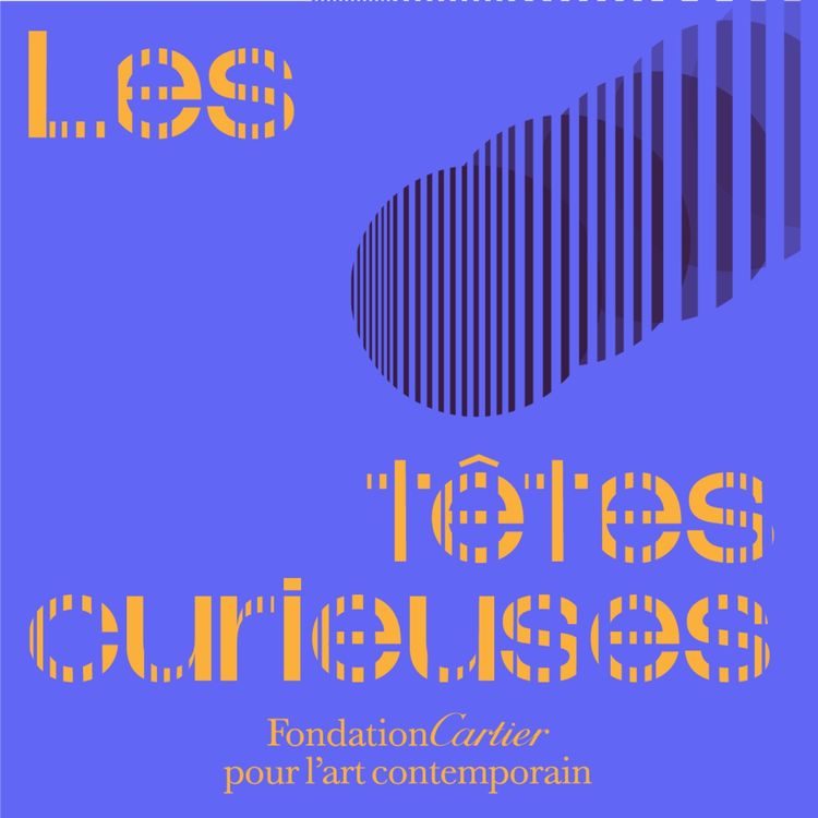 cover art for Les têtes curieuses - Sofia et Simon