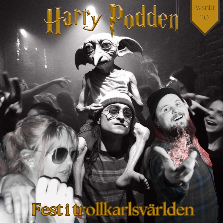 cover art for Fest i trollkarlsvärlden