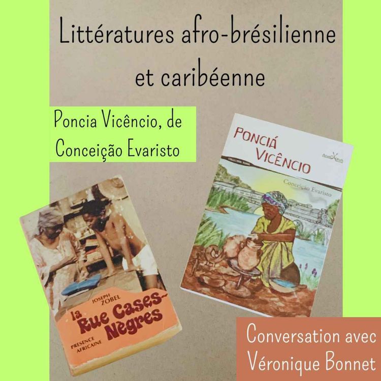 cover art for Littératures afro-brésilienne et caribéenne