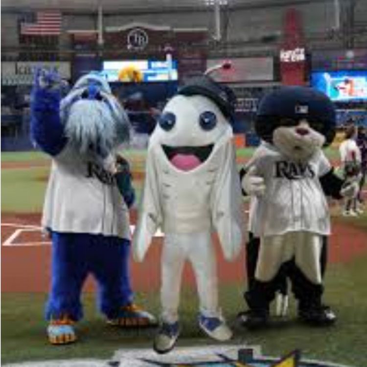 cover art for Can you name the Tampa Rays mascot? 