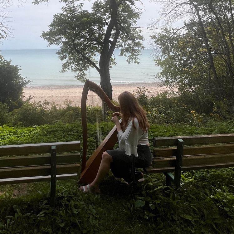 cover art for Trees Impact Cultural Identity and Behavior