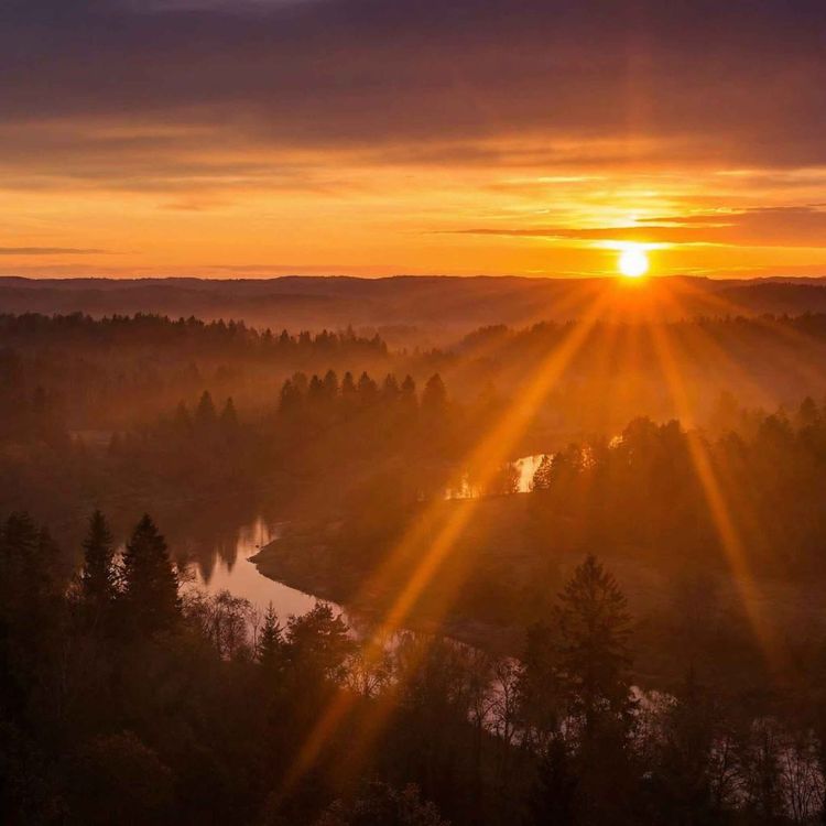 cover art for I Am Lost In The Heaven-tide's Lair