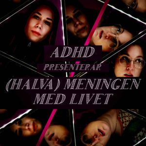 cover art for (halva) meningen med livet 