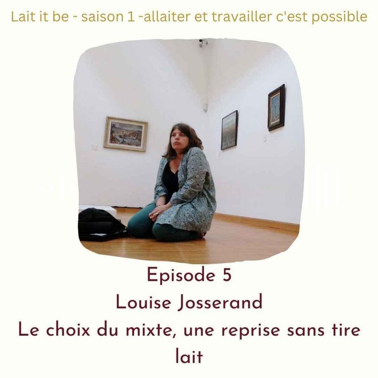 cover art for Le choix du mixte, une reprise sans tire lait