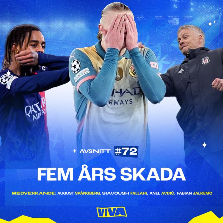 cover art for #72 - Fem års skada