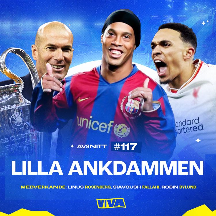 cover art for #117 - Lilla ankdammen