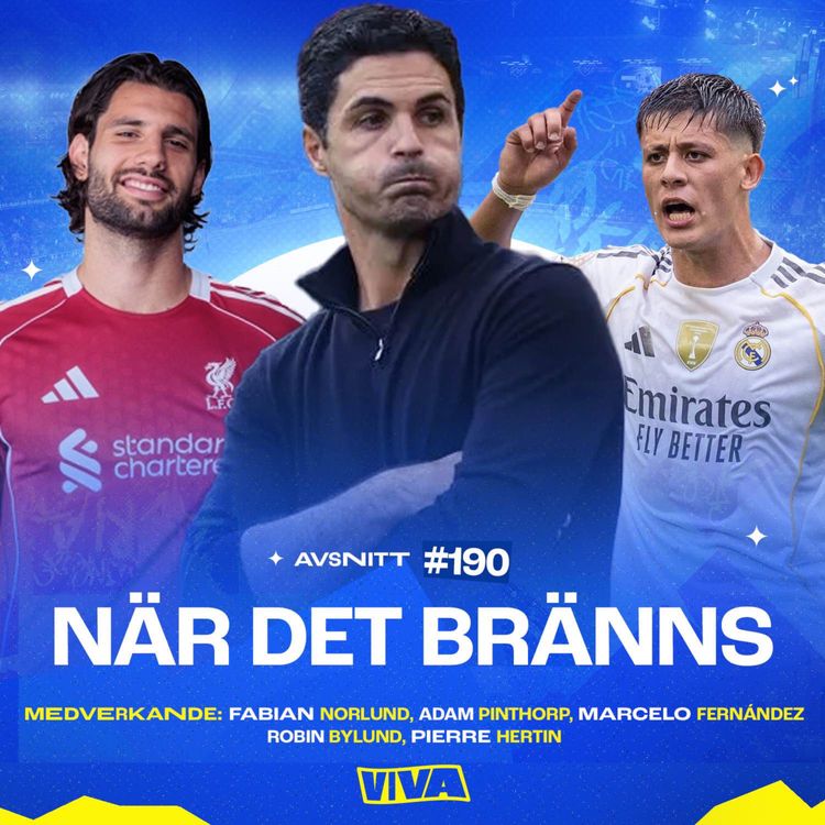 cover art for #190 När det bränns