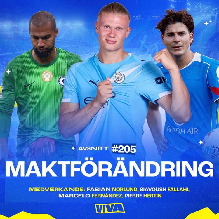 cover art for #205 Maktförändring