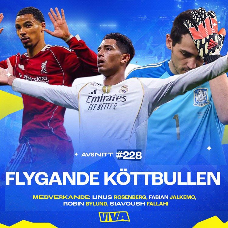 cover art for #228 Flygande köttbullen
