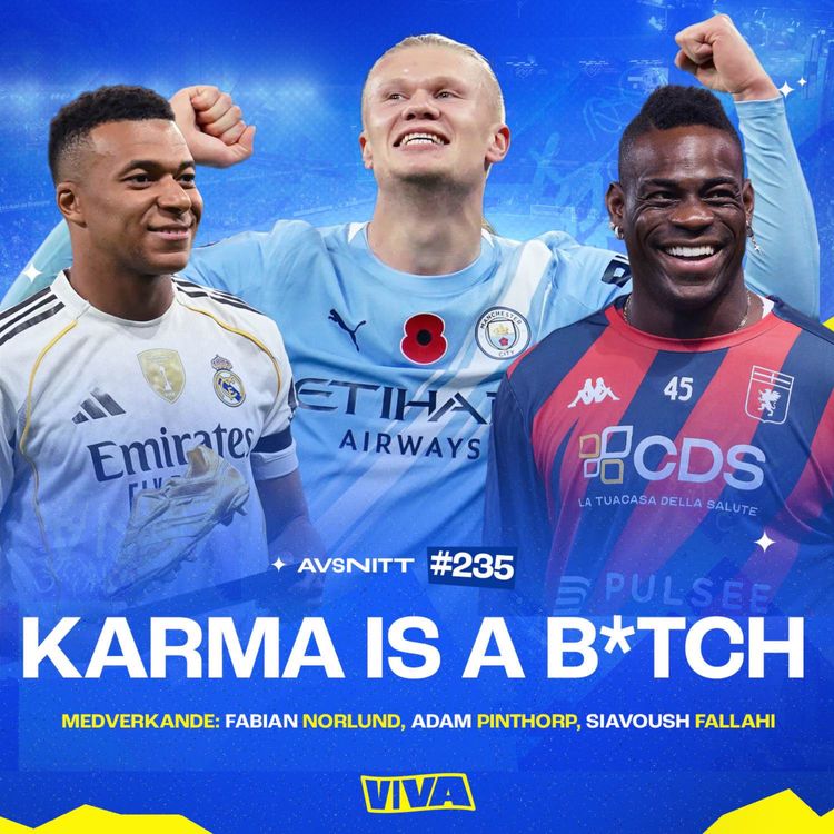 cover art for #235 Karma is a b*tch