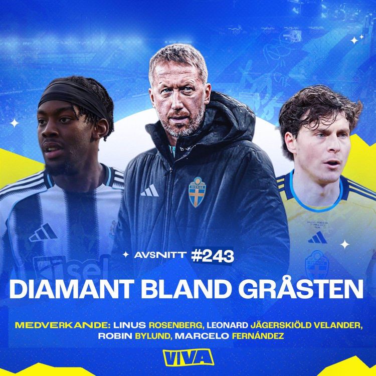 cover art for #243 Diamant bland gråsten