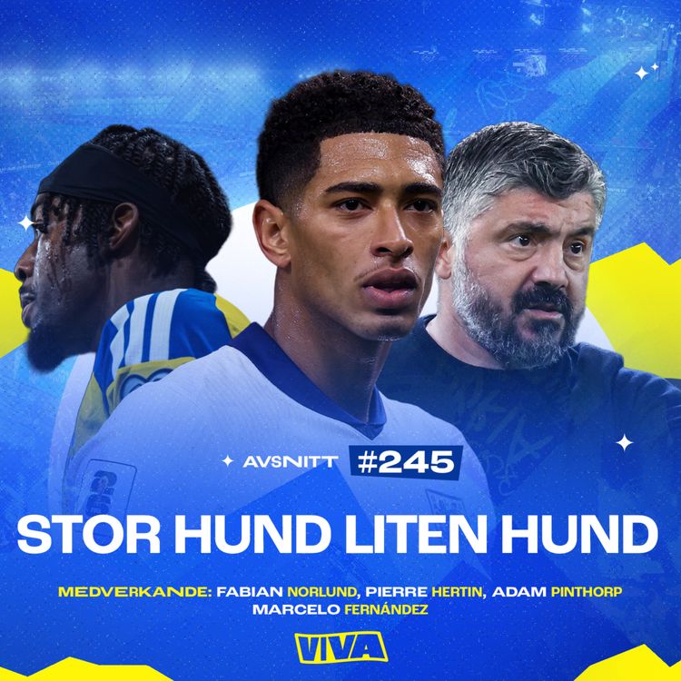 cover art for #245 Stor hund liten hund