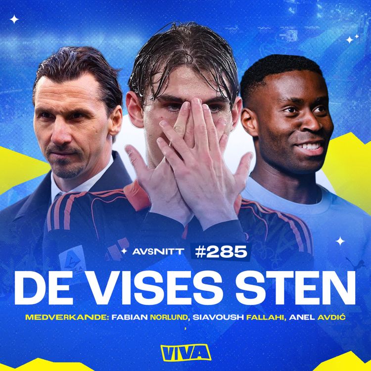 cover art for #285 De vises sten