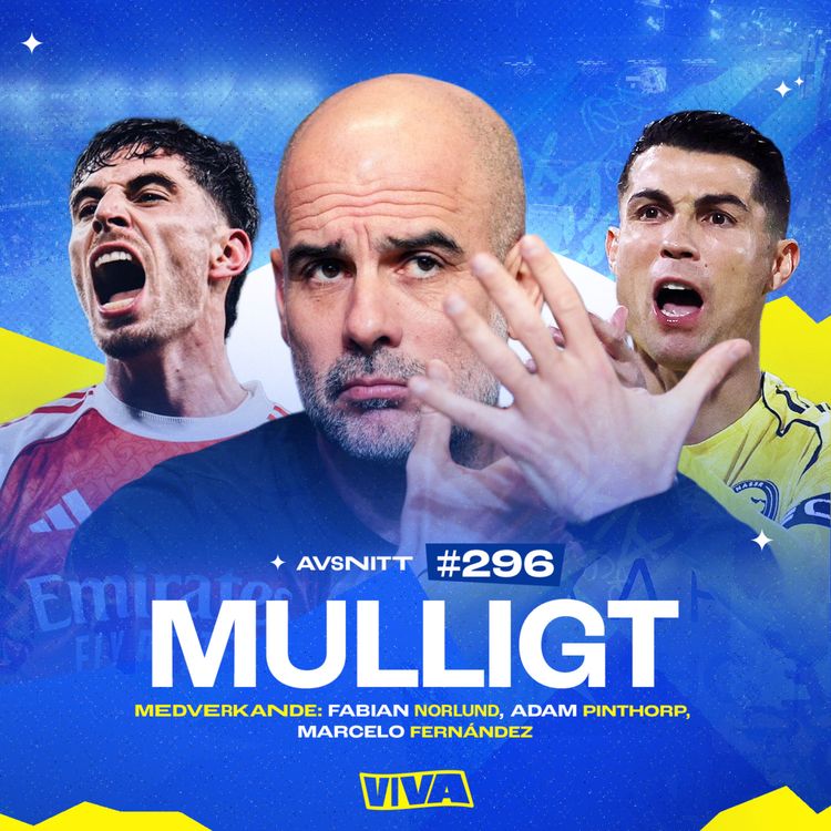 cover art for #296 Mulligt
