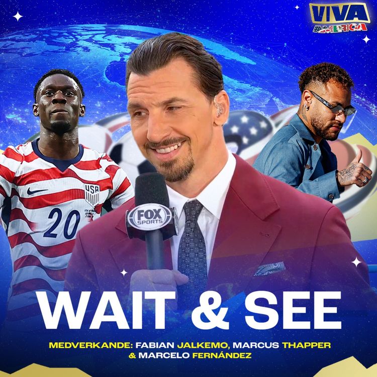 cover art for Viva America: Wait & see