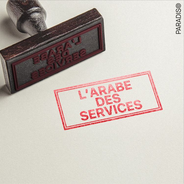 cover art for L'Arabe des services / 4. Le harcèlement