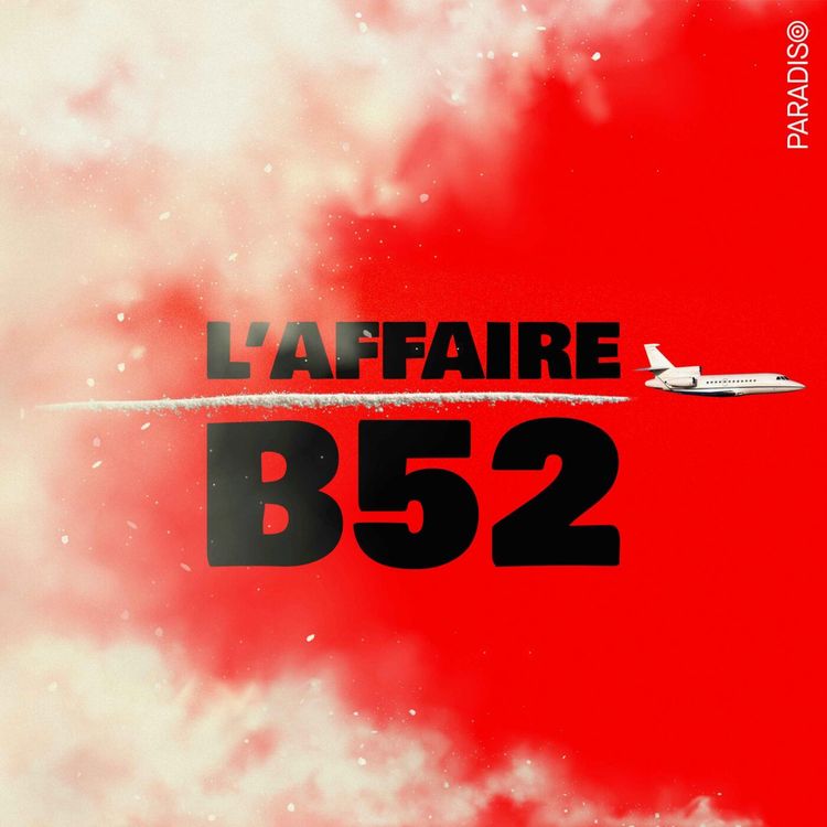 cover art for B52 / 6. Un réseau tentaculaire