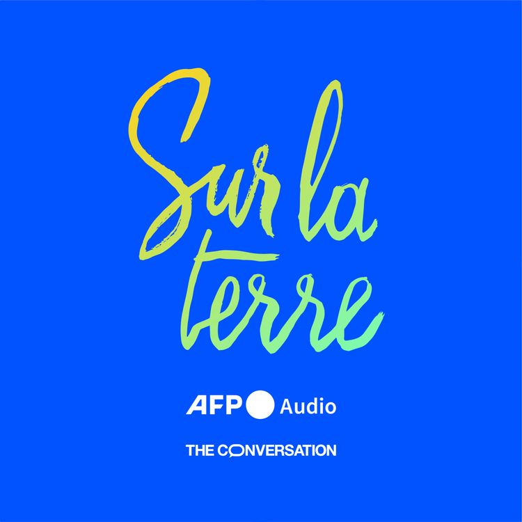 cover art for Les forêts peuvent-elles sauver notre planète ?