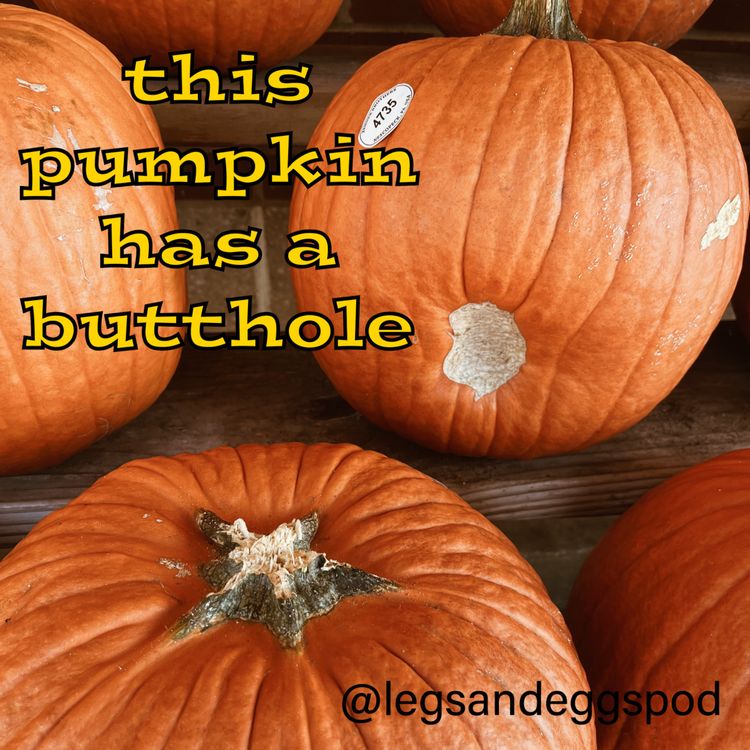 cover art for this pumpkin has a butthole