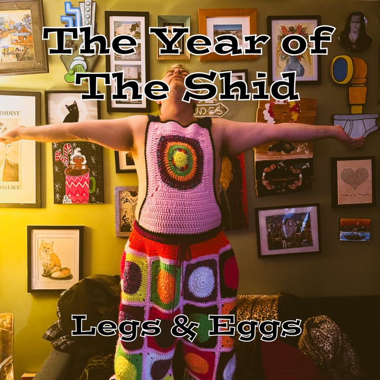 cover art for The Year of The Shid 