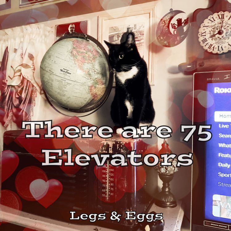 cover art for There are 75 Elevators 