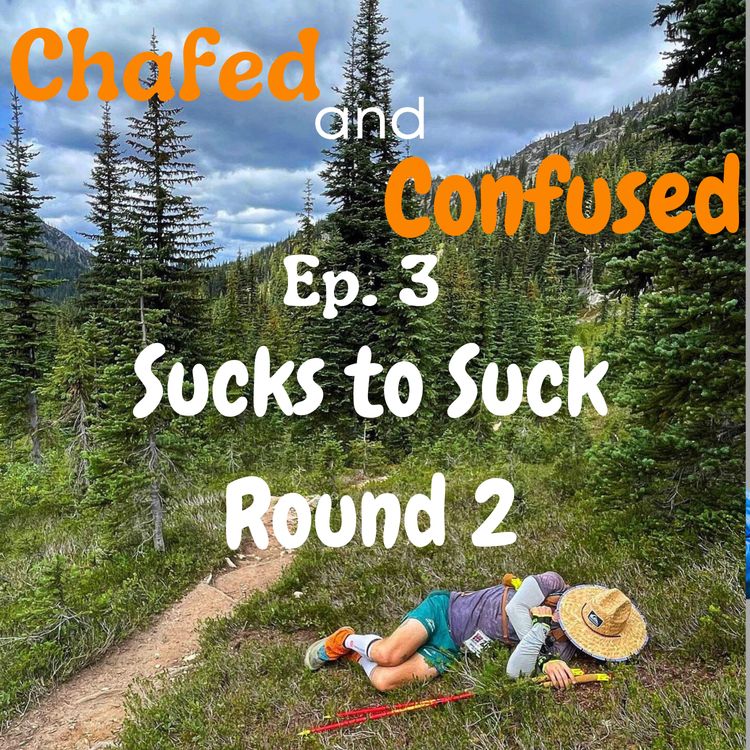 cover art for #3: Sucks to Suck Round 2