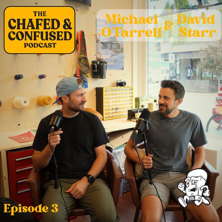 cover art for VidPod Episode 3: David Starr and Michael O'Farrell