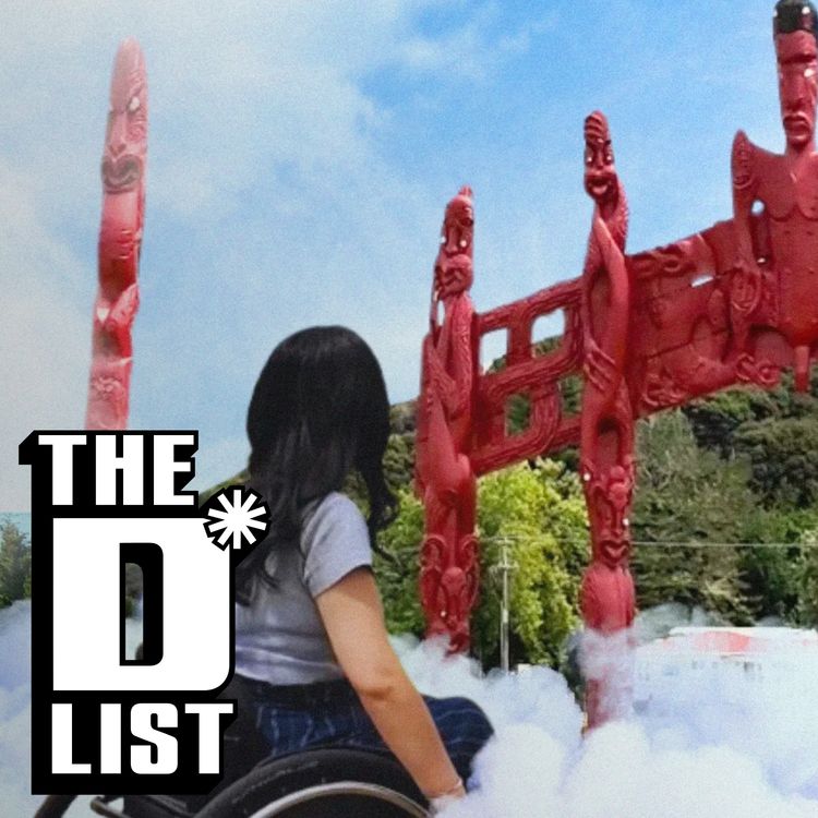 cover art for Access Guide: What to expect at Waitangi this year