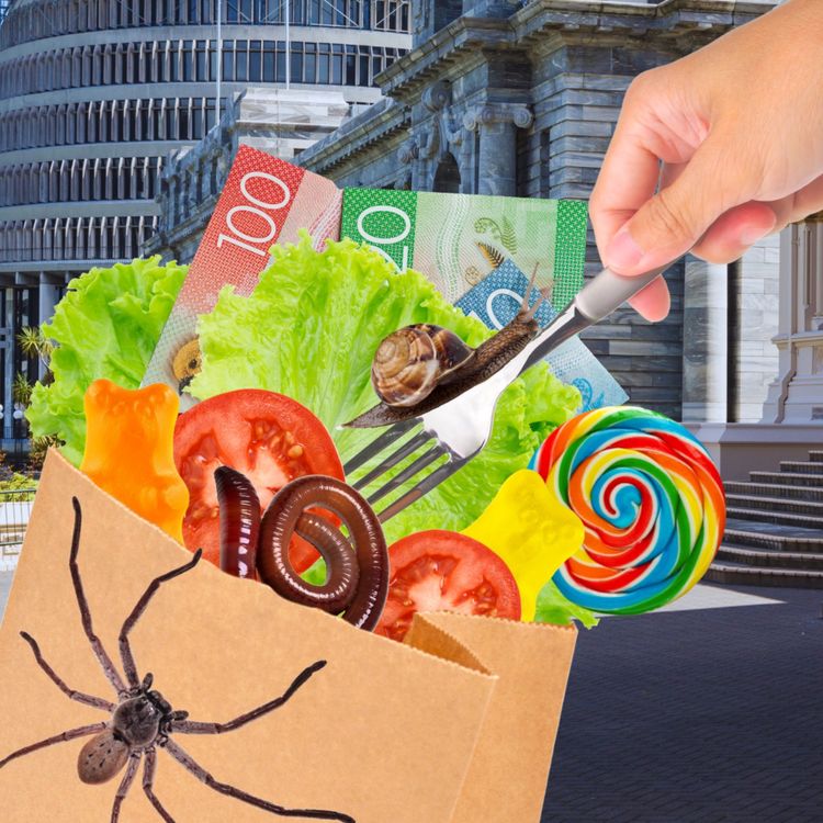 cover art for Budget 2025: What do disabled people think of this year’s budget?