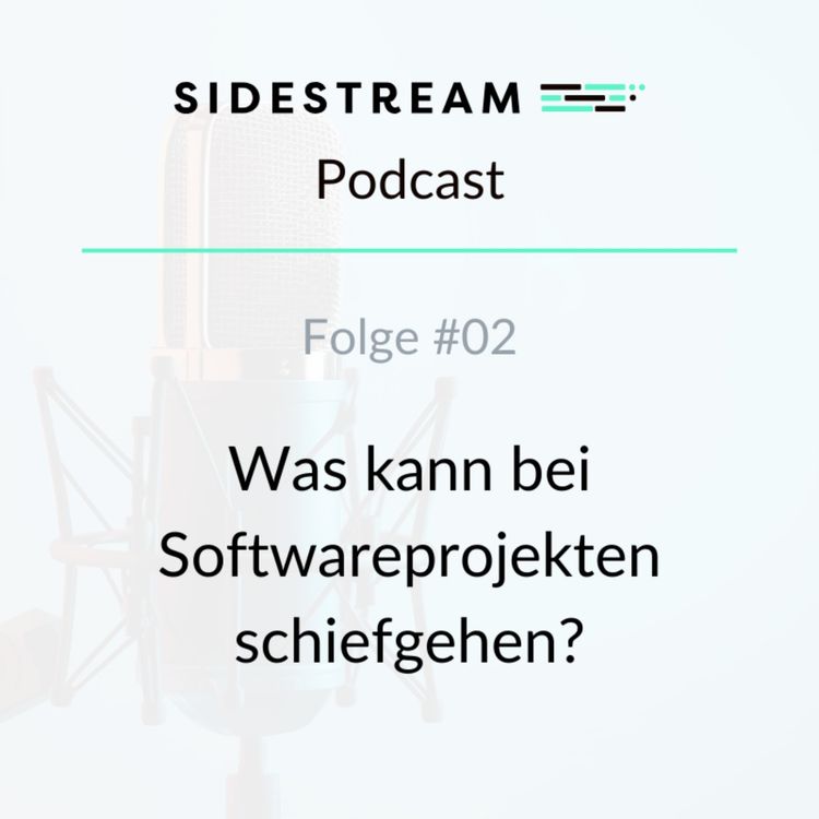 cover art for Was kann bei Softwareprojekten schiefgehen?