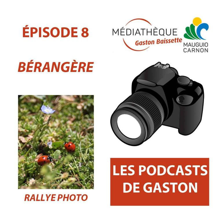 cover art for Rallye photo sur les insectes vu par Bérangère