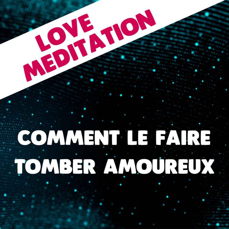 cover art for Comment faire tomber amoureux un homme