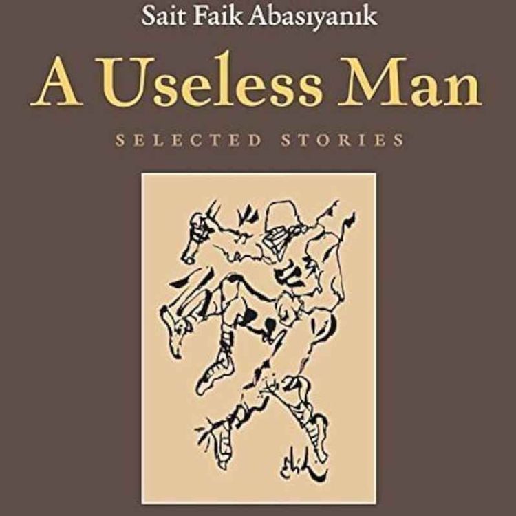 cover art for Dolphins in the Bosphorus