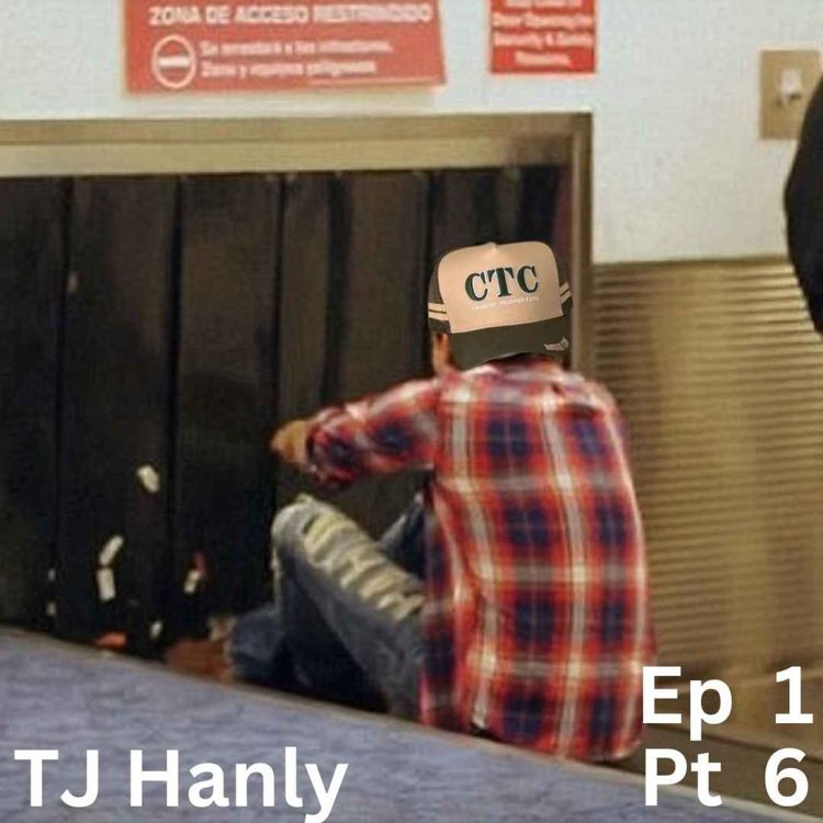 cover art for TJ Hanly : Lions, Tigers & Panthers