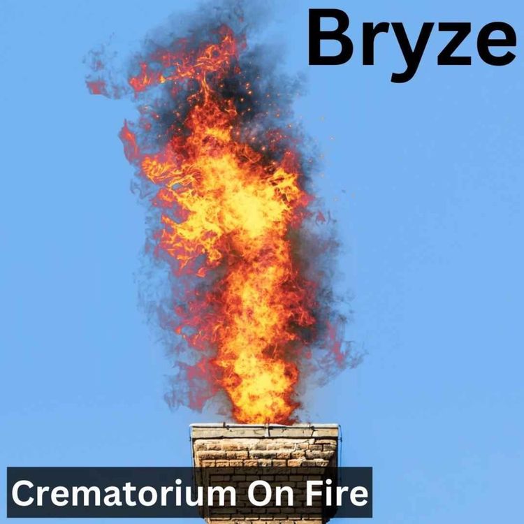 cover art for Bryze : Crematorium On Fire