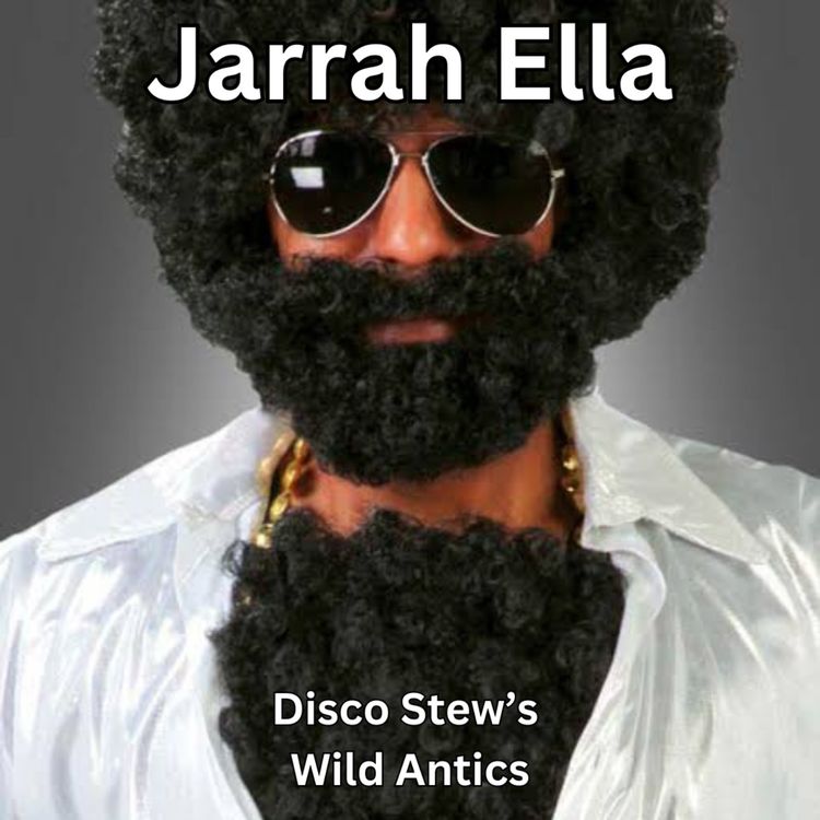 cover art for Disco Stew's Wild Antics