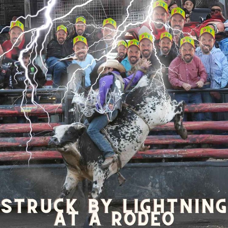 cover art for Struck By Lightning At A Rodeo